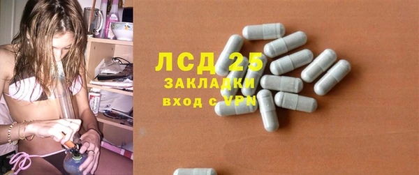 спайс Кулебаки